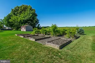 27524 Derby Dr, Salisbury, MD 21801 - Photo 48