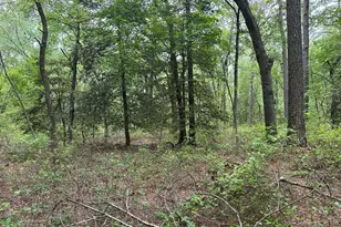 28403 Old Eden Rd, Eden, MD 21822 - Photo 18