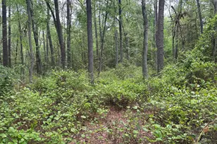 28403 Old Eden Rd, Eden, MD 21822 - Photo 20