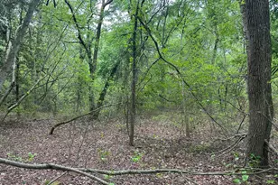 28403 Old Eden Rd, Eden, MD 21822 - Photo 8