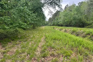 28403 Old Eden Rd, Eden, MD 21822 - Photo 12