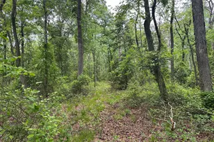 28403 Old Eden Rd, Eden, MD 21822 - Photo 10
