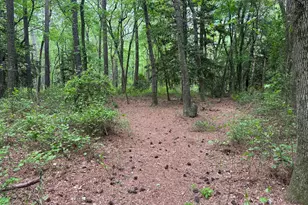 28403 Old Eden Rd, Eden, MD 21822 - Photo 24