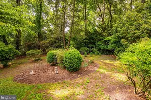 509 Dogwood Dr, Salisbury, MD 21801 - Photo 66
