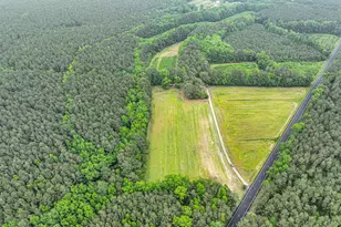 33550 Mt Hermon Rd, Parsonsburg, MD 21849 - Photo 4