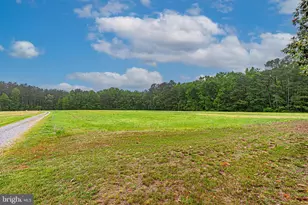 33550 Mt Hermon Rd, Parsonsburg, MD 21849 - Photo 6
