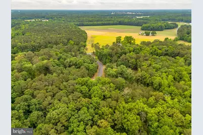 Pristine Place #16AA, Parsonsburg, MD 21849 - Photo 12