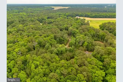 Pristine Place #16AA, Parsonsburg, MD 21849 - Photo 22