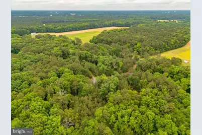 Pristine Place #16AA, Parsonsburg, MD 21849 - Photo 10