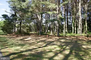 31867 Shavox Rd, Salisbury, MD 21804 - Photo 38