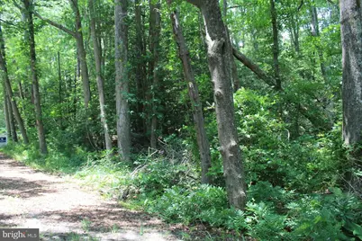 Lot 3 Jackson Road, Salisbury, MD 21804 - Photo 16