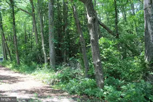 Lot 3 Jackson Rd, Salisbury, MD 21804 - Photo 16