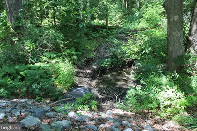 Lot 3 Jackson Road, Salisbury, MD 21804 - Photo 14