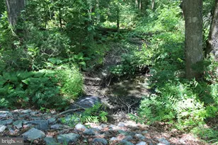 Lot 3 Jackson Rd, Salisbury, MD 21804 - Photo 14
