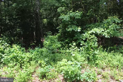 Lot 3 Jackson Road, Salisbury, MD 21804 - Photo 10