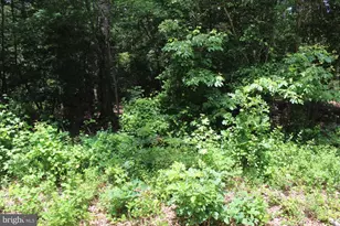 Lot 3 Jackson Rd, Salisbury, MD 21804 - Photo 10