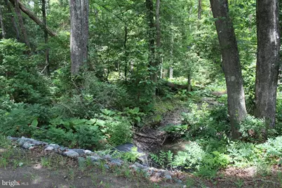Lot 3 Jackson Road, Salisbury, MD 21804 - Photo 8