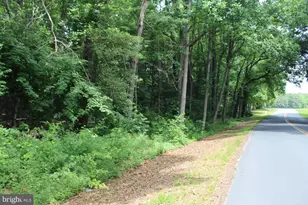 Lot 3 Jackson Rd, Salisbury, MD 21804 - Photo 6