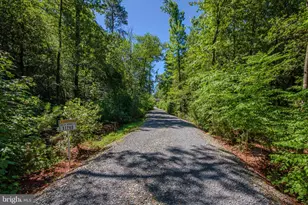 31749 Morris Leonard Rd, Parsonsburg, MD 21849 - Photo 40