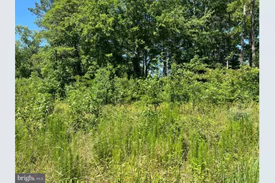 Cedar Court, Hebron, MD 21830 - Photo 4