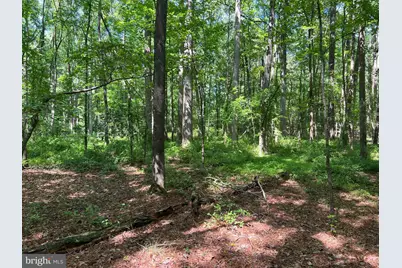 Cedar Court, Hebron, MD 21830 - Photo 12