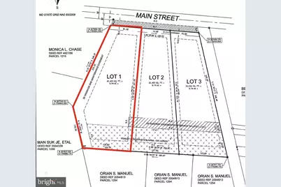 Lot 1 Main Street, Pittsville, MD 21850 - Photo 2