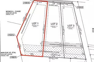 Lot 1 Main St, Pittsville, MD 21850 - Photo 2