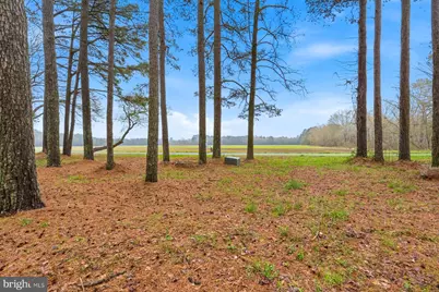8434 Hurleys Neck Road, Mardela Springs, MD 21837 - Photo 28