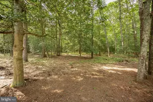 3889 5 Friars Rd, Salisbury, MD 21804 - Photo 68