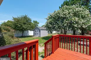 34780 Main St, Pittsville, MD 21850 - Photo 4