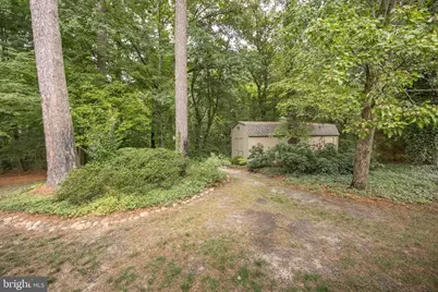 113 Covered Bridge Lane, Fruitland, MD 21826 - Photo 86