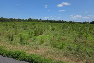 0 Delaware Ave, Pittsville, MD 21850 - Photo 1
