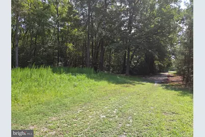 10228 Sharptown Road, Mardela Springs, MD 21837 - Photo 10