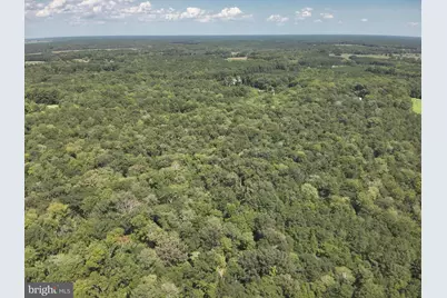 Jesterville Road, Tyaskin, MD 21865 - Photo 18