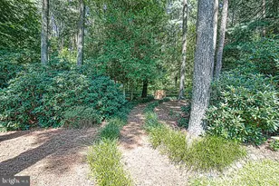 5239 Silver Run Ln, Salisbury, MD 21801 - Photo 88