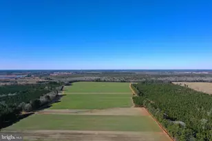 758 Cedar Hall Rd, Pocomoke City, MD 21851 - Photo 74