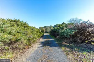 758 Cedar Hall Rd, Pocomoke City, MD 21851 - Photo 44