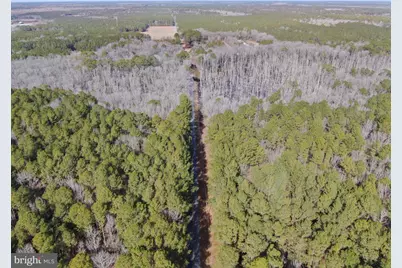 Lot 1 Sand Road, Snow Hill, MD 21863 - Photo 4