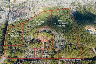 Lot 1 Sand Road, Snow Hill, MD 21863 - Photo 2