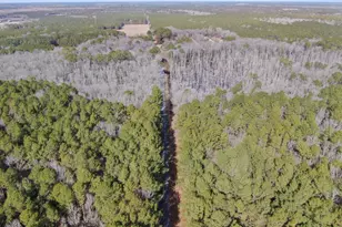 Lot 1 Sand Road, Snow Hill, MD 21863 - Photo 4