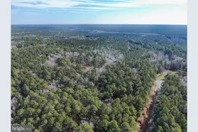 Lot 2 Sand Road, Snow Hill, MD 21863 - Photo 4