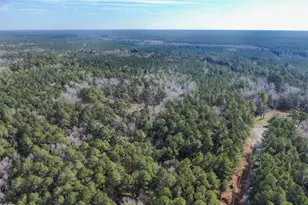 Lot 2 Sand Road, Snow Hill, MD 21863 - Photo 4