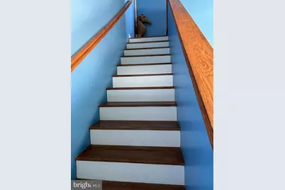 14211 Dukes Avenue #203, Ocean City, MD 21842 - Photo 22