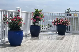 12351 Meadow Dr, Berlin, MD 21811 - Photo 62