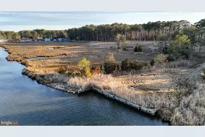 Lot 1 Muskrattown Road, Bishopville, MD 21813 - Photo 8