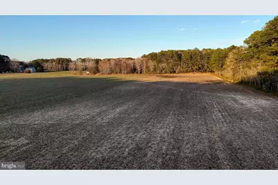 Lot 1 Muskrattown Road, Bishopville, MD 21813 - Photo 96