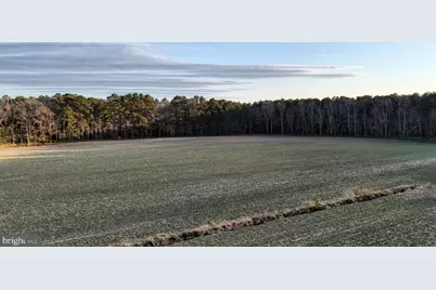 Lot 1 Muskrattown Road, Bishopville, MD 21813 - Photo 92