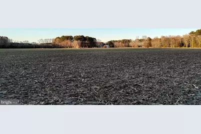 Lot 1 Muskrattown Road, Bishopville, MD 21813 - Photo 94