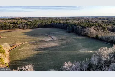 Lot 1 Muskrattown Road, Bishopville, MD 21813 - Photo 102