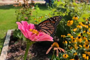 12205 E Cannonball Dr, Berlin, MD 21811 - Photo 62